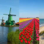Fotorealistische Collage der schönsten Reiseziele der Niederlande mit Amsterdamer Grachtenhäusern, den Windmühlen von Zaanse Schans, bunten Tulpenfeldern und der Nordseeküste bei Scheveningen unter blauem Himmel.