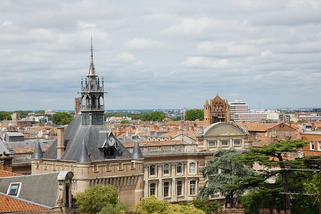 Historische Dächer und Gebäude in Toulouse, Frankreich, mit Blick auf die Altstadt